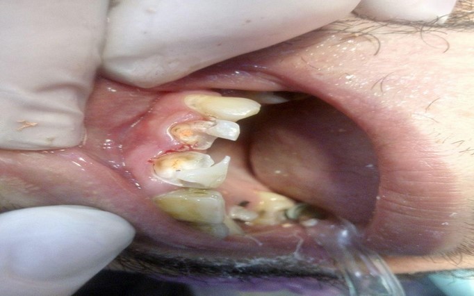 دکتر سید محمود  نعیمیان  | دکتربین