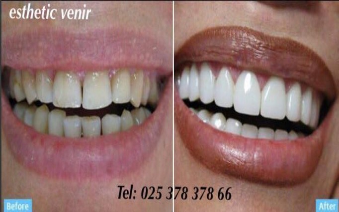 دکتر نیره  شیری  | دکتربین