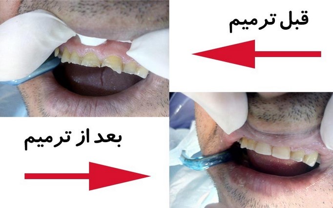 دکتر سید محمود  نعیمیان  | دکتربین